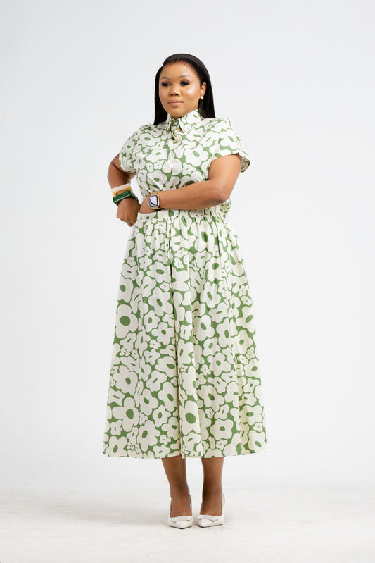 Olive Botanic Set